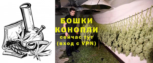 2c-b Зеленодольск
