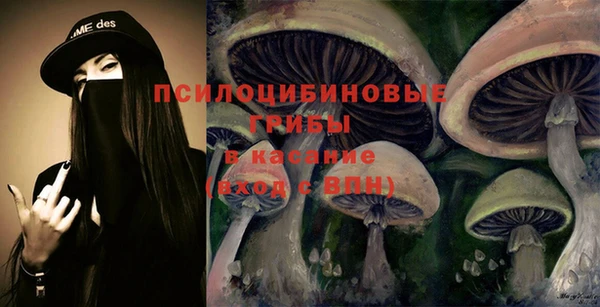 прущие крисы Зеленокумск